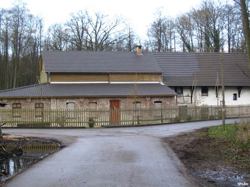 Dahlheimer Mühle (Rothenbach)