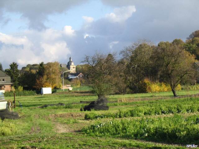 Blick von Steinhausen