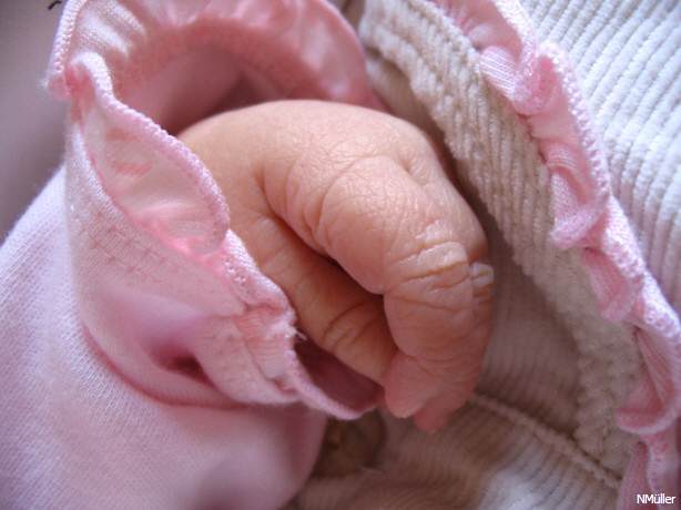 mit ruhiger Hand